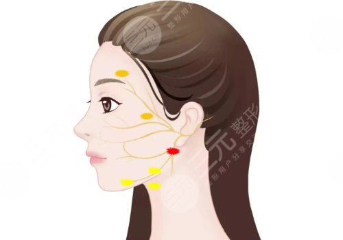 熱瑪吉三個月后對比照(寫案例)