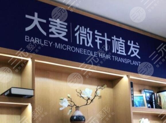 廈門(mén)大麥微針植發(fā)