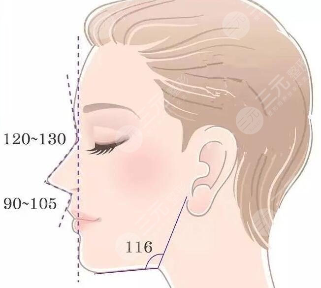 媽生鼻是用什么材料做的？