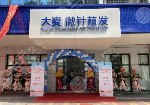 沈陽大麥微針植發(fā)怎么樣？