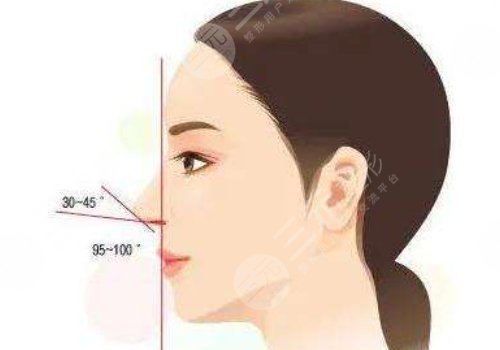 余龍做鼻子好看嗎？