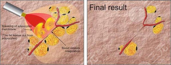 王東醫(yī)生的個人主頁