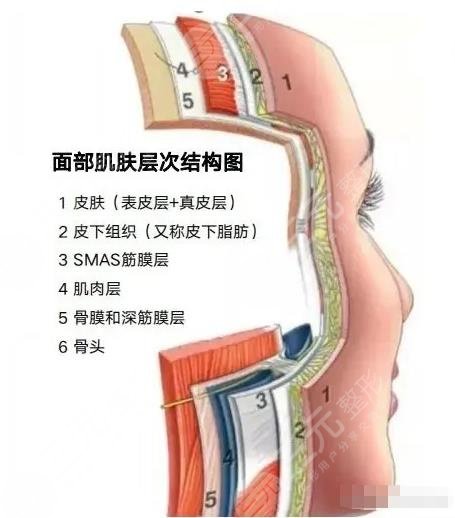 7d聚拉提和超聲炮的區(qū)別在哪里