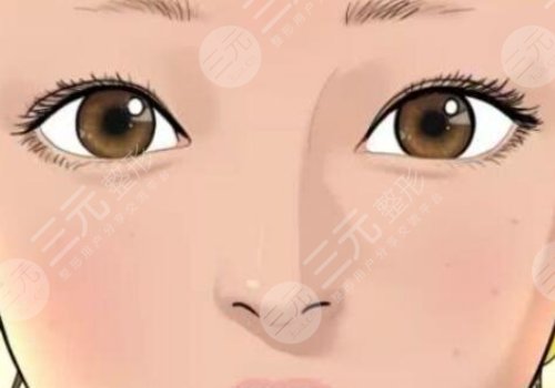 向萌娟簡(jiǎn)歷