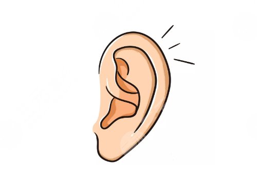 北京麗都耳部整形醫(yī)院是私立醫(yī)院嗎