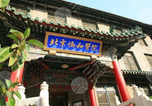 北京脂肪隆胸醫(yī)院