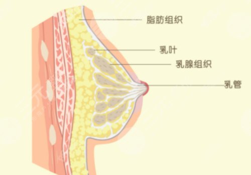 現(xiàn)在隆胸都有哪些手術
