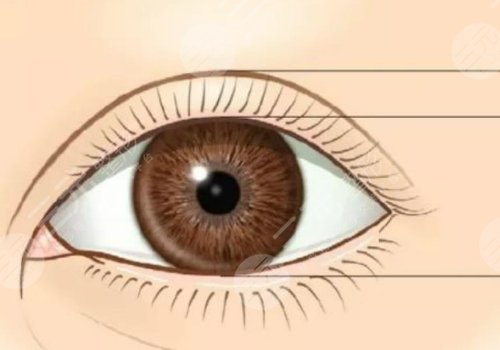 德陽金榮醫(yī)學(xué)美容?？漆t(yī)院怎么樣