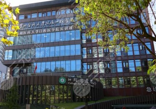 黃丞蔚種牙多久了