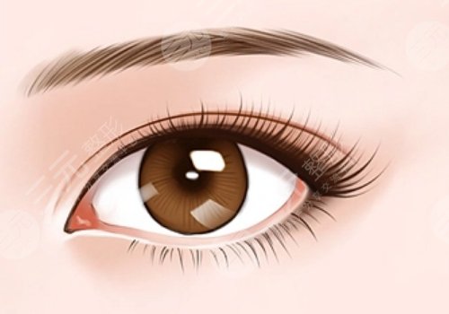 紀(jì)影暢資歷