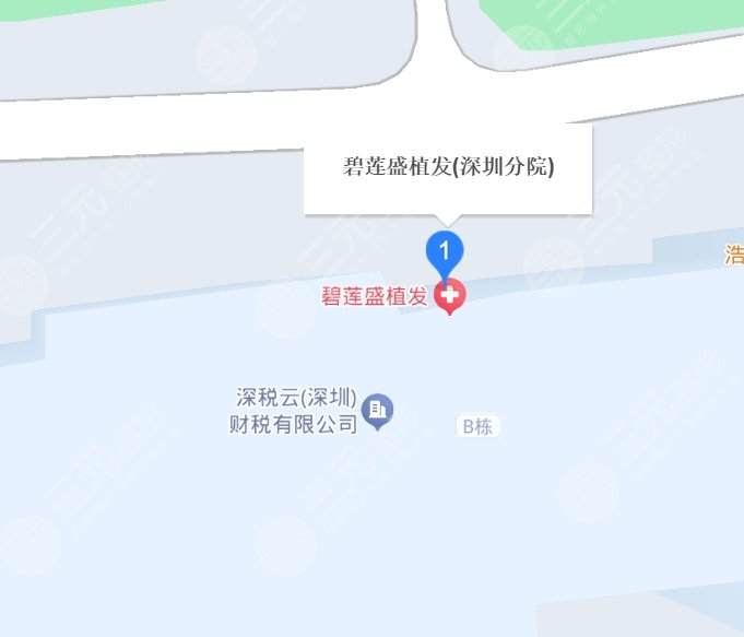 重慶碧蓮盛植發(fā)醫(yī)院地址