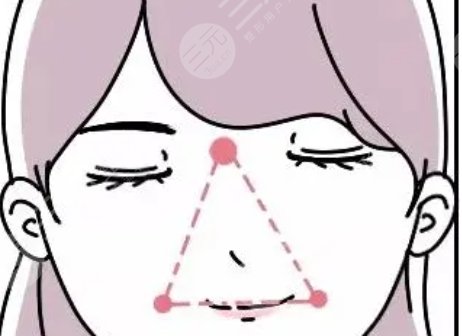 眉心三角區(qū)