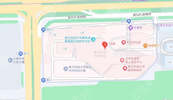 南方科技大學(xué)醫(yī)院地址