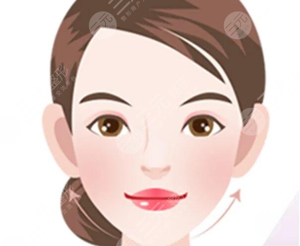 鉆石超塑下頜緣