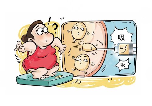 清木的馬梅生吸脂如何