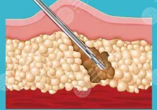 重慶銅雀臺和軍科哪個好一些啊