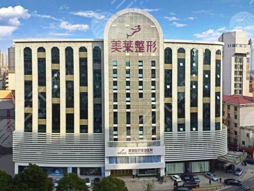 上海美萊胸部整形醫(yī)生有哪位