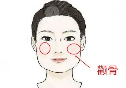 崔榮達和樸興植那個好